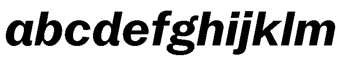 Neue York Italic 6 FONT