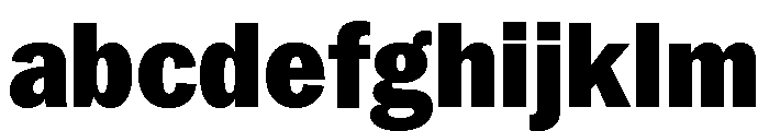 Neue York Narrow Black Narrow Italic FONT