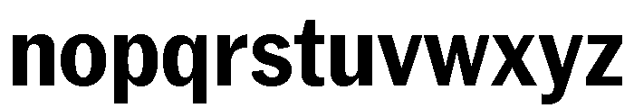 Neue York Narrow Bold Narrow Italic Font LOWERCASE