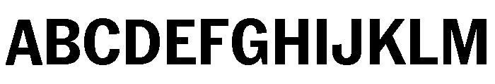 Neue York Narrow Bold Font UPPERCASE