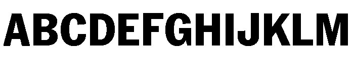 Neue York Narrow Extrabold Narrow Italic Font UPPERCASE