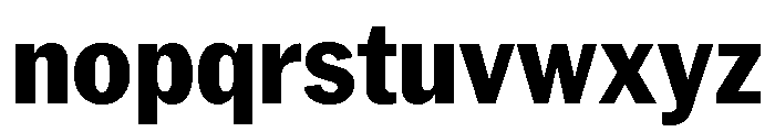 Neue York Narrow Extrabold Narrow Italic Font LOWERCASE