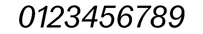 Neue York Narrow Italic 3 Font OTHER CHARS