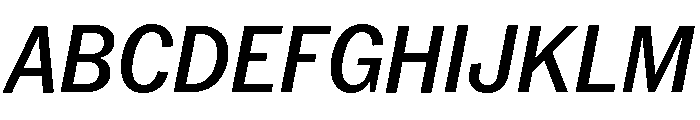 Neue York Narrow Italic 4 Font UPPERCASE