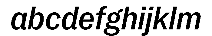Neue York Narrow Italic 4 FONT
