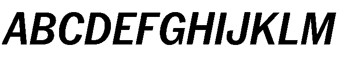 Neue York Narrow Italic 5 Font UPPERCASE