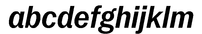 Neue York Narrow Italic 5 FONT