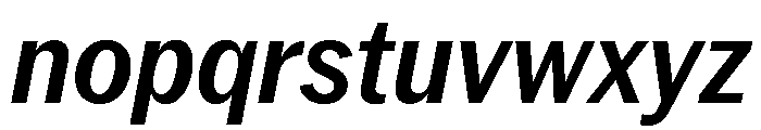 Neue York Narrow Italic 5 Font LOWERCASE