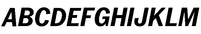 Neue York Narrow Italic 6 Font UPPERCASE