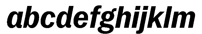 Neue York Narrow Italic 6 FONT