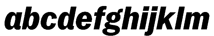 Neue York Narrow Italic 7 FONT