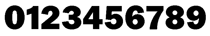 Neue York Normal Black Italic Font OTHER CHARS