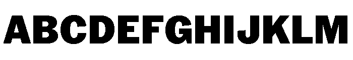 Neue York Normal Black Italic Font UPPERCASE