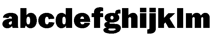 Neue York Normal Black Italic FONT