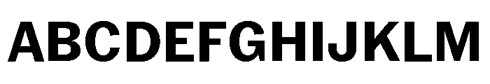 Neue York Normal Bold Italic Font UPPERCASE
