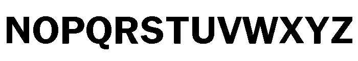Neue York Normal Bold Italic Font UPPERCASE