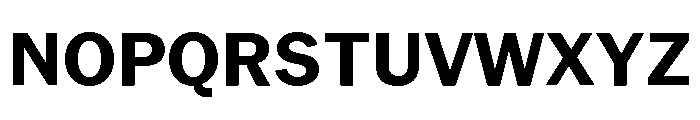Neue York Normal Bold Font UPPERCASE