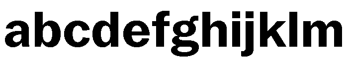 Neue York Normal Bold FONT