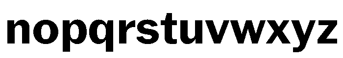 Neue York Normal Bold Font LOWERCASE