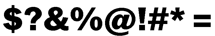 Neue York Normal Extrabold Italic Font OTHER CHARS