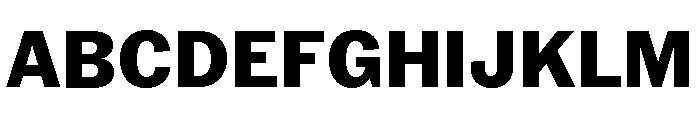 Neue York Normal Extrabold Italic Font UPPERCASE