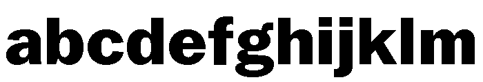 Neue York Normal Extrabold Italic FONT