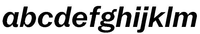Neue York Normal Italic 5 FONT