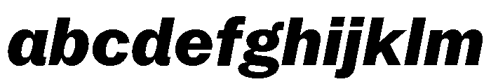 Neue York Normal Italic 7 FONT