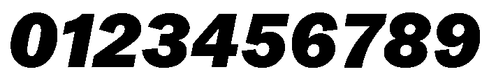 Neue York Normal Italic 8 Font OTHER CHARS