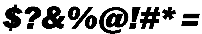 Neue York Normal Italic 8 Font OTHER CHARS