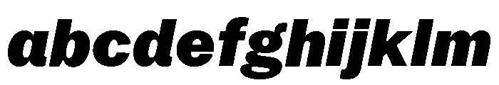 Neue York Normal Italic 8 FONT