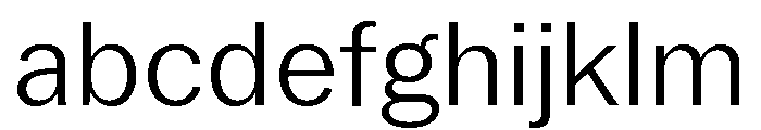 Neue York Normal Light Italic FONT