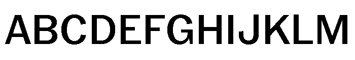 Neue York Normal Medium Italic Font UPPERCASE
