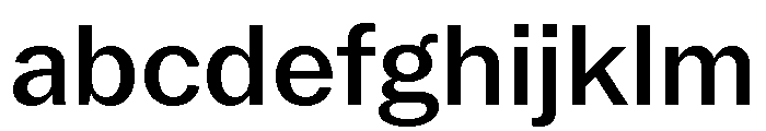 Neue York Normal Medium Italic FONT