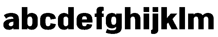 NeuemoderneGrotesk Black FONT