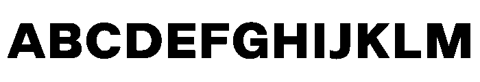 NewEdge666 UltraBold Font UPPERCASE