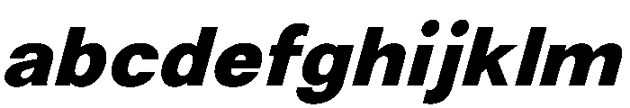 NewEdge666 UltraBoldSlanted FONT