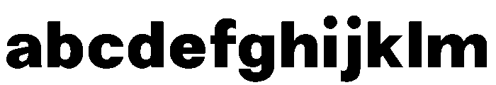 NewEdge666 UltraBold FONT