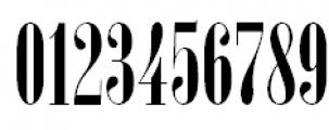New Serif Condensed Regular Font OTHER CHARS