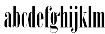 New Serif Condensed Regular FONT