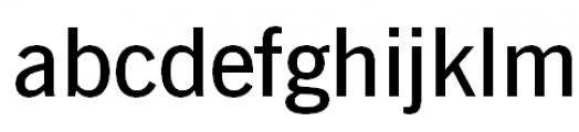 News Gothic Demi Font LOWERCASE