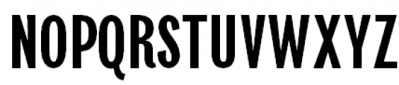 Newspaper Sans Normal Font UPPERCASE