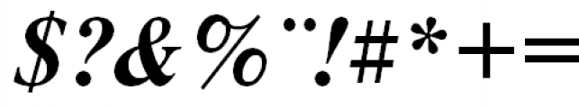 Newton Polytonic Greek Bold Italic Font OTHER CHARS