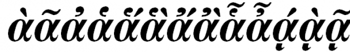 Newton Polytonic Greek Bold Italic Font UPPERCASE