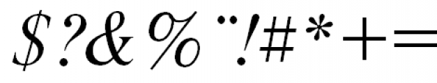 Newton Polytonic Greek Italic Font OTHER CHARS