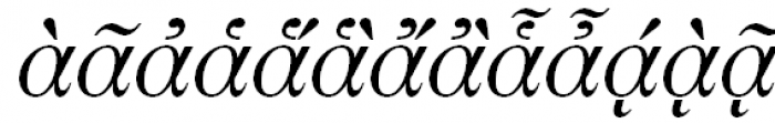 Newton Polytonic Greek Italic Font UPPERCASE
