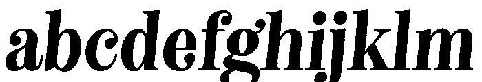 Neato Serif Regular Italic FONT