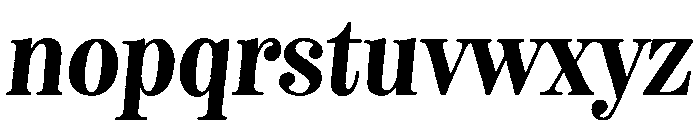 Neato Serif Regular Italic Font LOWERCASE