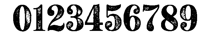 Neato Serif Regular Rough Font OTHER CHARS