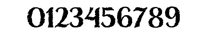 Nelson Bold Font OTHER CHARS